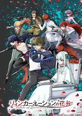 蜂鸟与少年全12话-蝴蝶影院